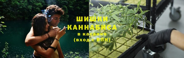 сатива Бронницы