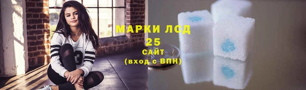 соль ск Бородино