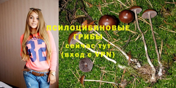 соль ск Бородино