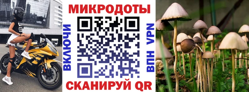 Галлюциногенные грибы MAGIC MUSHROOMS Иваново