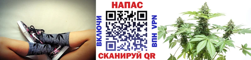 купить   Иваново  Канабис OG Kush 